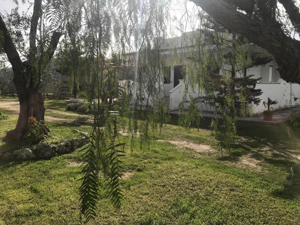 Villa Angela Case Vacanza 비에스테 외부 사진